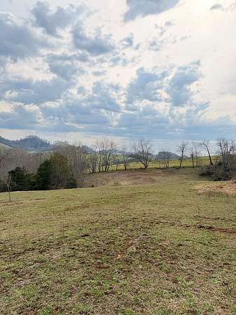 61.3 Acres of Land for Sale in Honaker, Virginia