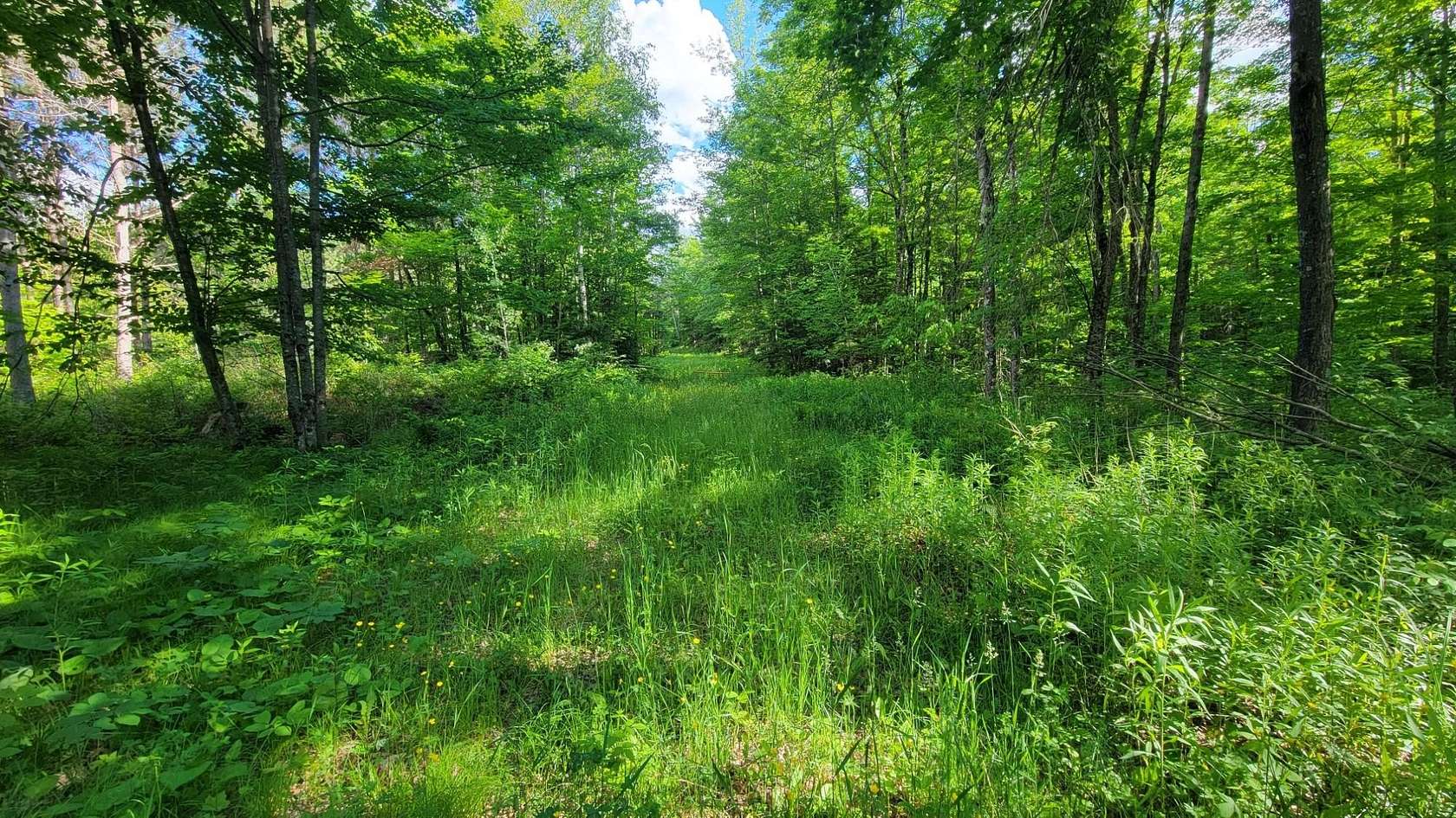 80 Acres of Recreational Land for Sale in Elcho, Wisconsin