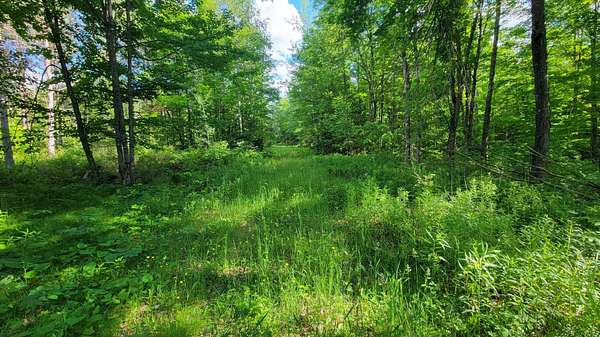 80 Acres of Recreational Land for Sale in Elcho, Wisconsin