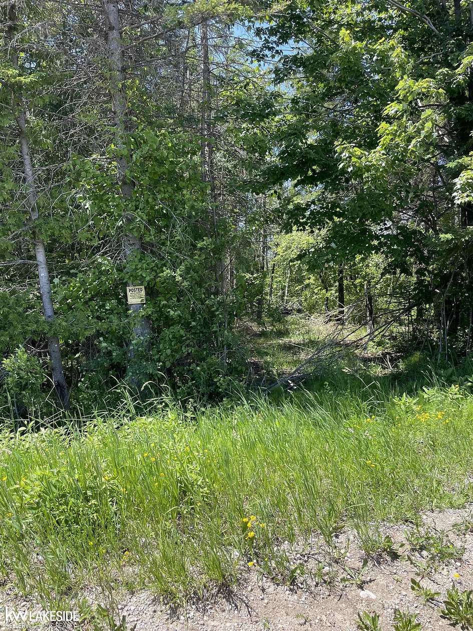115 Acres of Recreational Land for Sale in Cheboygan, Michigan