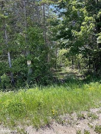 115 Acres of Recreational Land for Sale in Cheboygan, Michigan