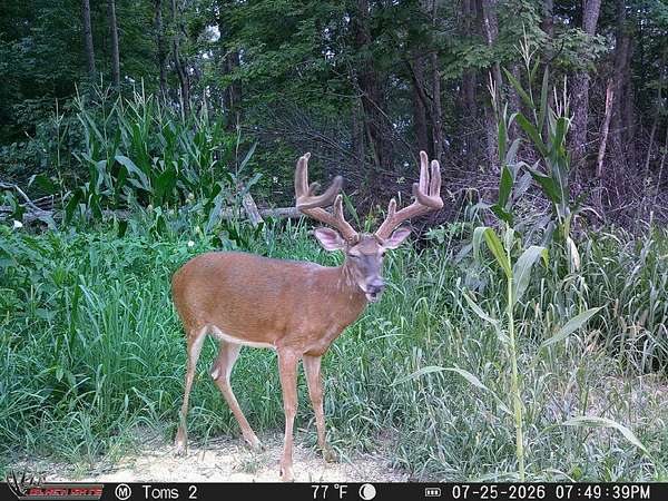 62.7 Acres of Recreational Land for Sale in Seaman, Ohio