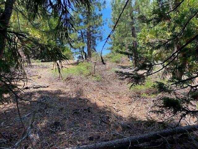 5 Acres of Land for Sale in Portola, California