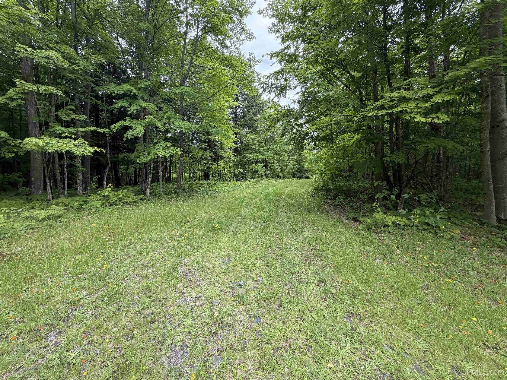 25.8 Acres of Recreational & Residential Land for Sale in Skanee, Michigan