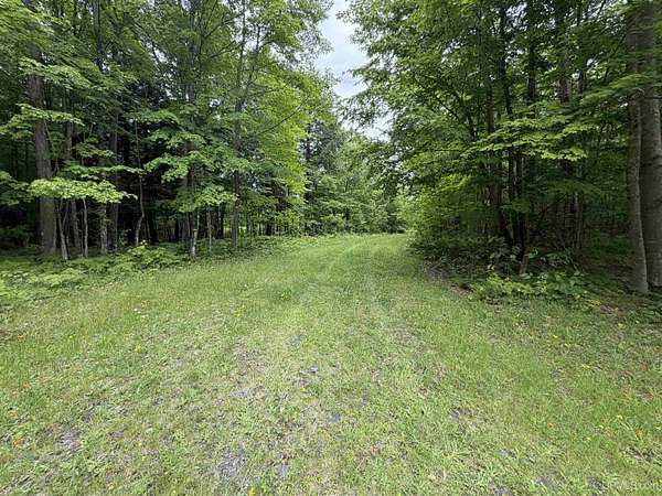 25.8 Acres of Recreational & Residential Land for Sale in Skanee, Michigan