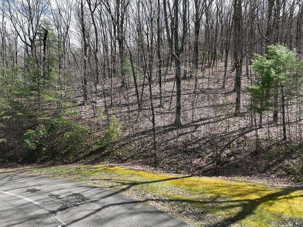 4.3 Acres of Residential Land for Sale in Ellijay, Georgia