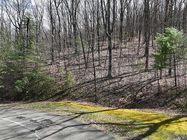 4.3 Acres of Residential Land for Sale in Ellijay, Georgia
