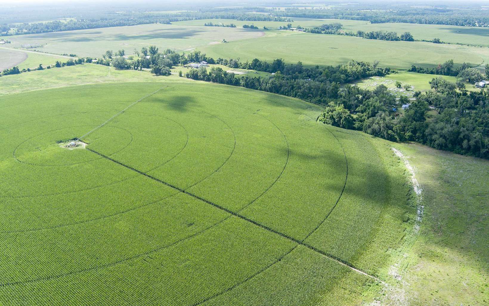 75 Acres of Agricultural & Residential Land for Sale in Mayo, Florida