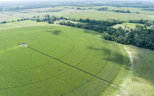 75 Acres of Agricultural & Residential Land for Sale in Mayo, Florida