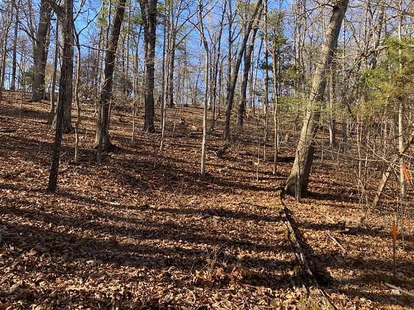 0.8 Acres of Residential Land for Sale in Eureka Springs, Arkansas