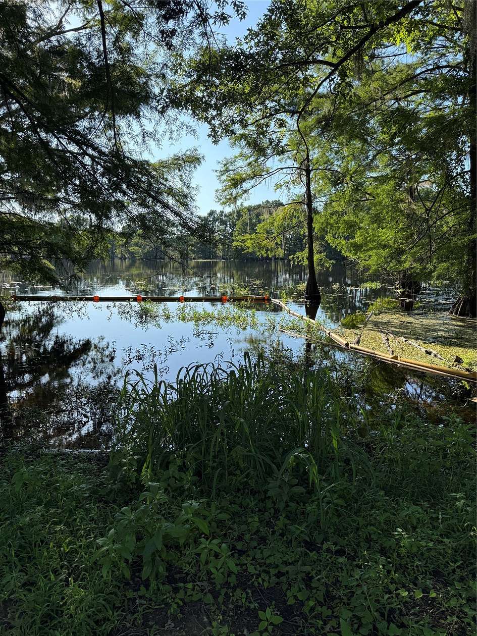 3.9 Acres of Land for Sale in Heflin, Louisiana