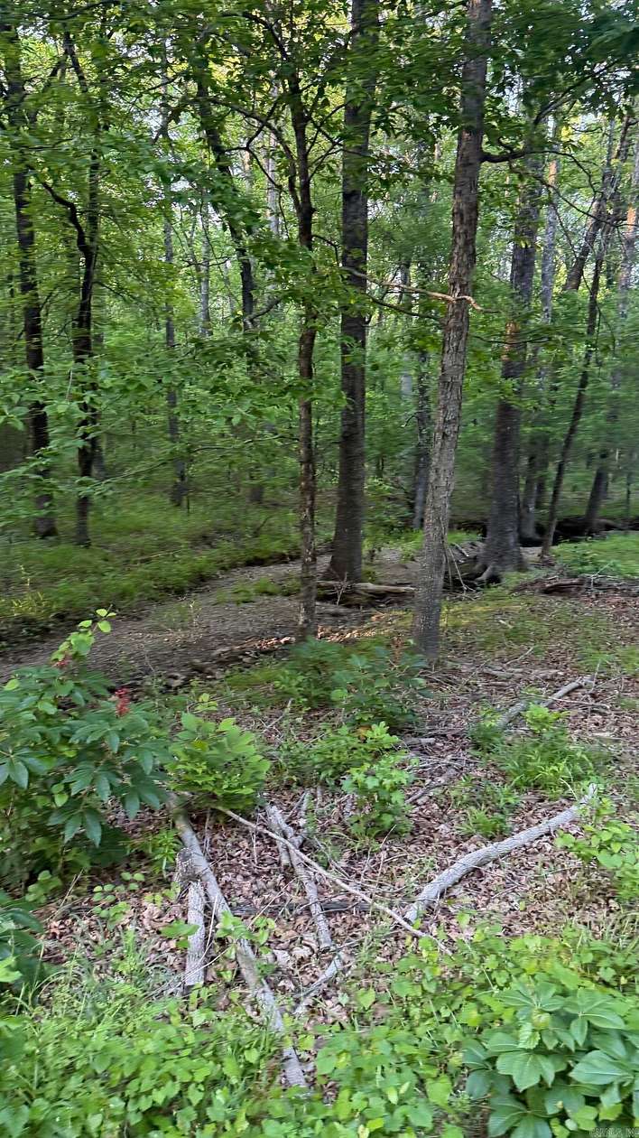 20 Acres of Recreational Land for Sale in Cabot, Arkansas