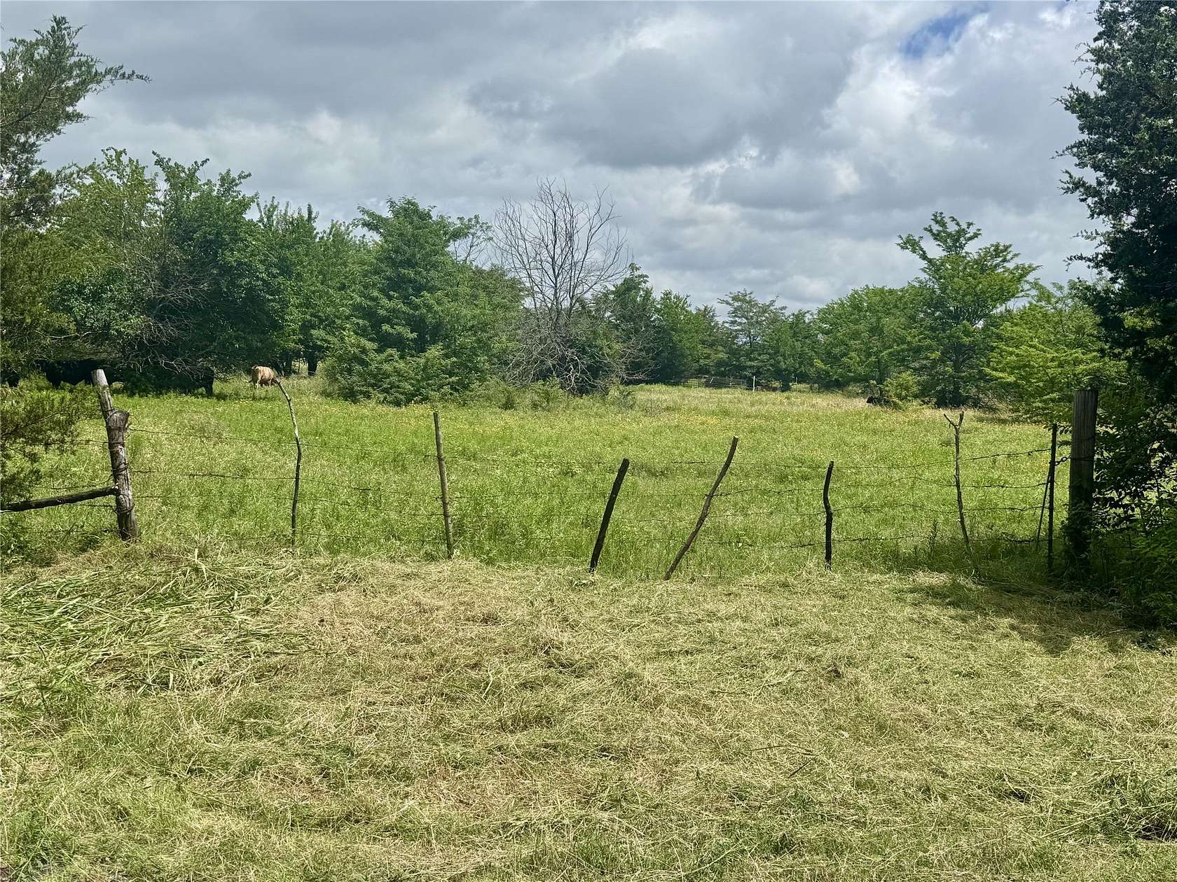 10.4 Acres of Land for Sale in Celeste, Texas