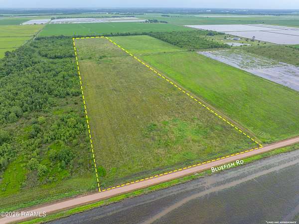 31 Acres of Agricultural & Residential Land for Sale in Crowley, Louisiana