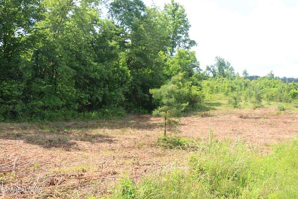 5 Acres of Residential Land for Sale in Decatur, Tennessee
