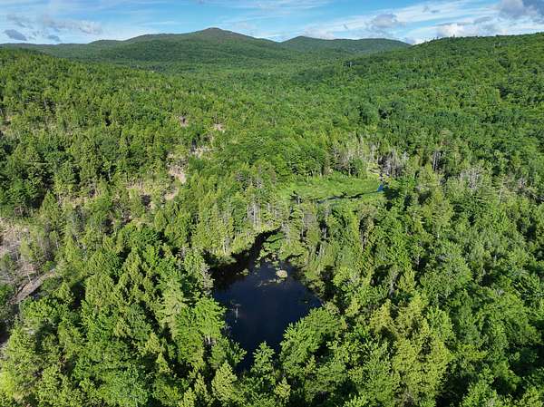 388 Acres of Recreational Land for Sale in Peru, Maine