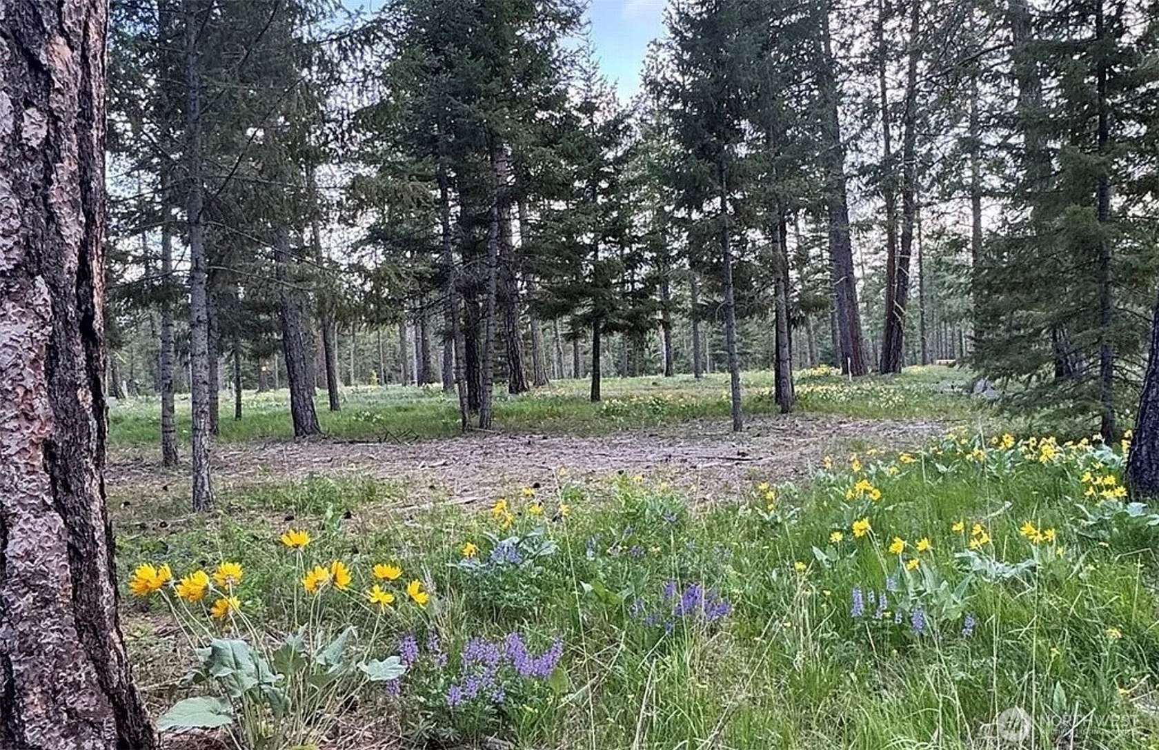 1 Acre of Residential Land for Sale in Cle Elum, Washington