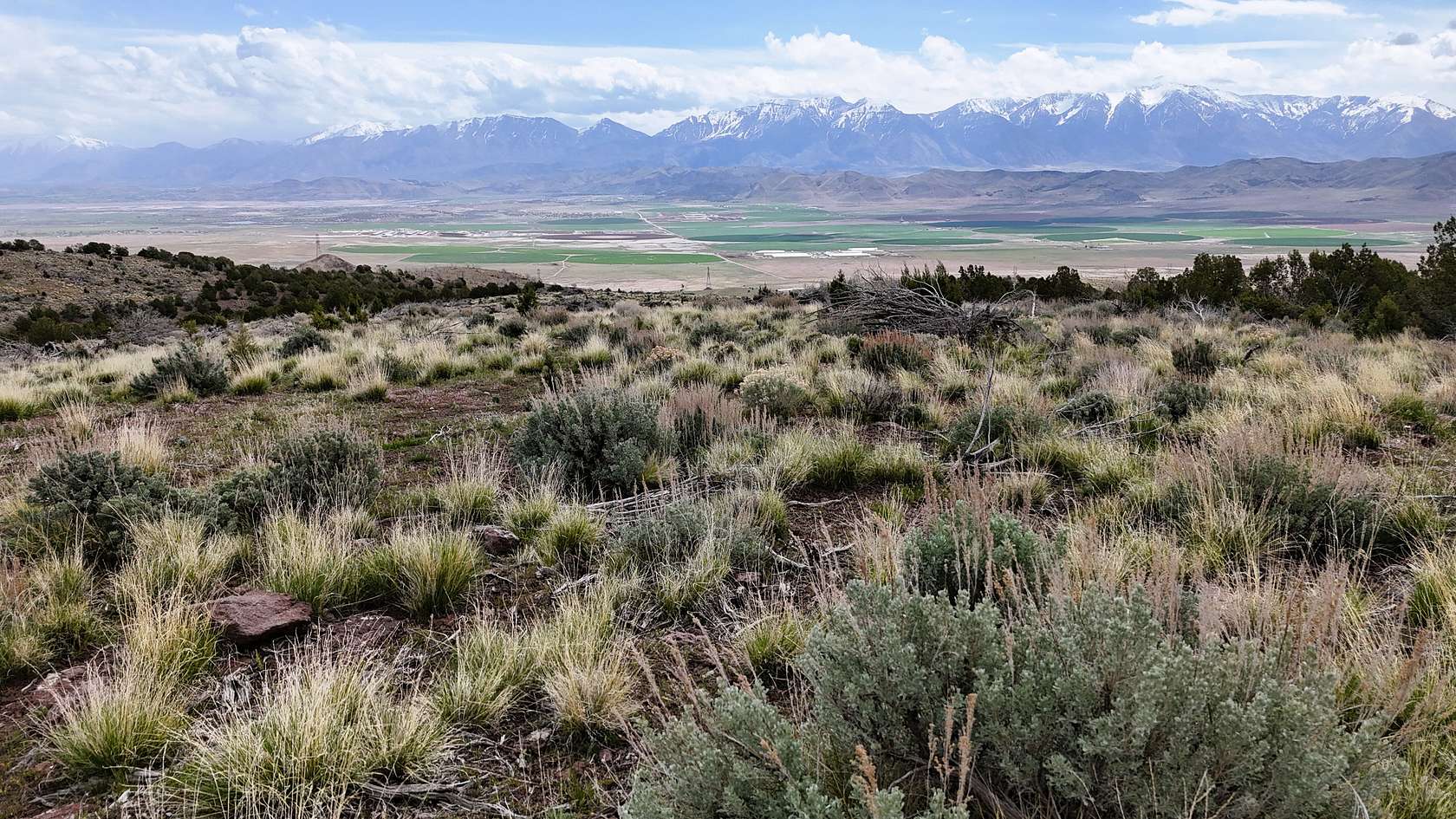 482 Acres of Recreational & Residential Land for Sale in Goshen, Utah
