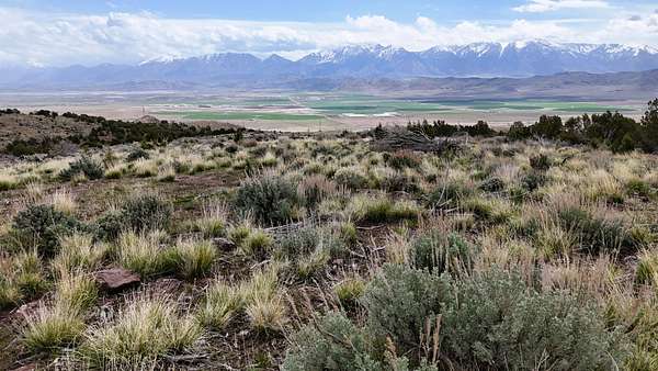 482 Acres of Recreational & Residential Land for Sale in Goshen, Utah