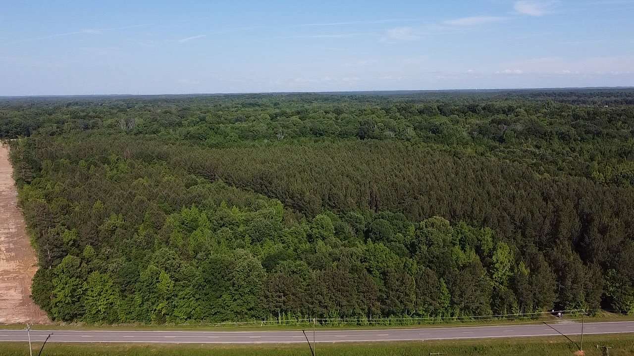 68 Acres of Recreational Land for Auction in Goldston, North Carolina