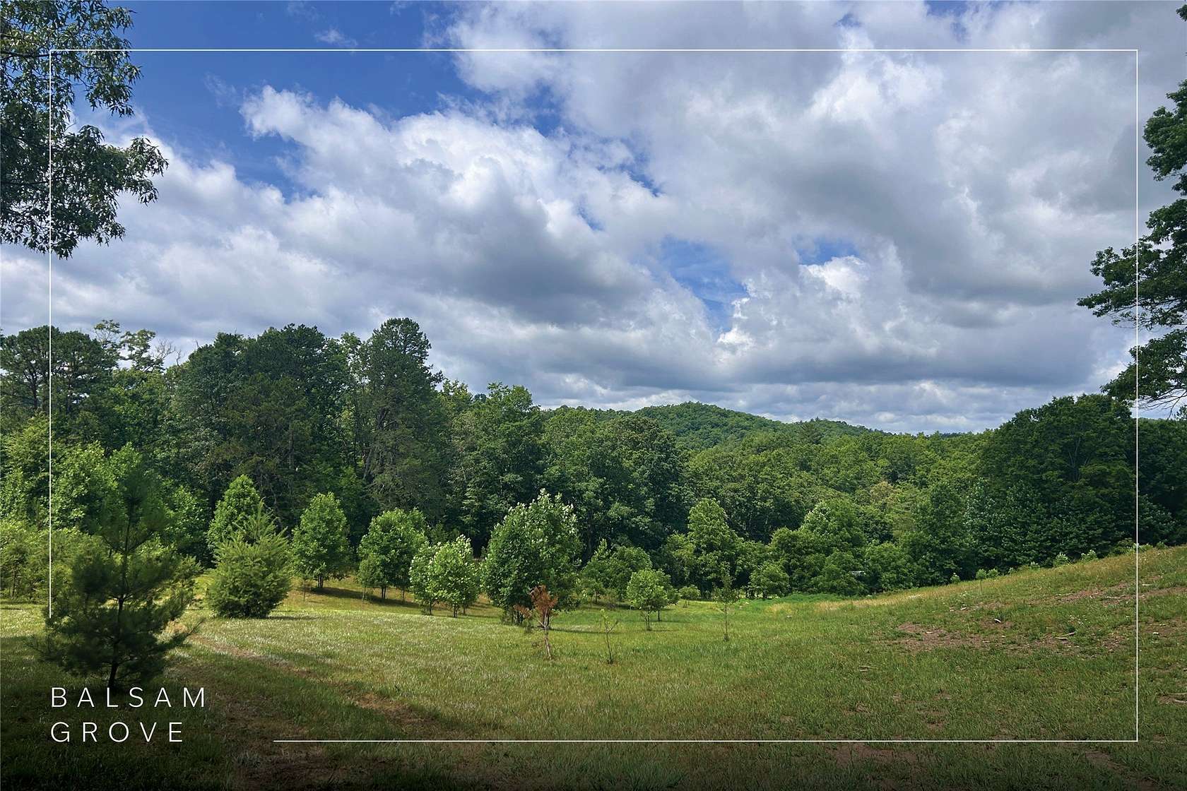 4.66 Acres of Residential Land for Sale in Balsam Grove, North Carolina
