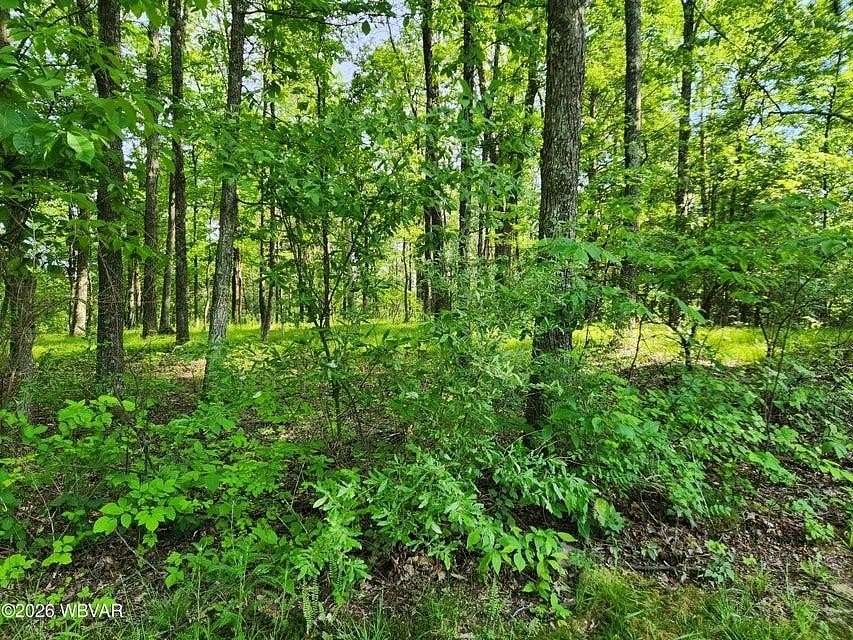 1 Acre of Residential Land for Sale in Muncy Valley, Pennsylvania