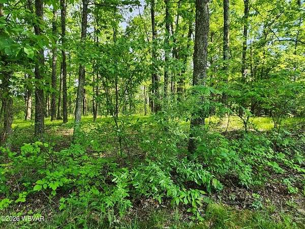 1 Acre of Residential Land for Sale in Muncy Valley, Pennsylvania