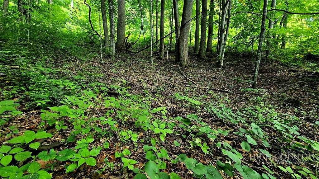 1.77 Acres of Residential Land for Sale in Todd, North Carolina