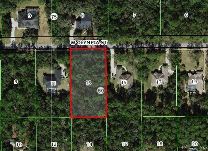 1 Acre of Residential Land for Sale in Hernando, Florida