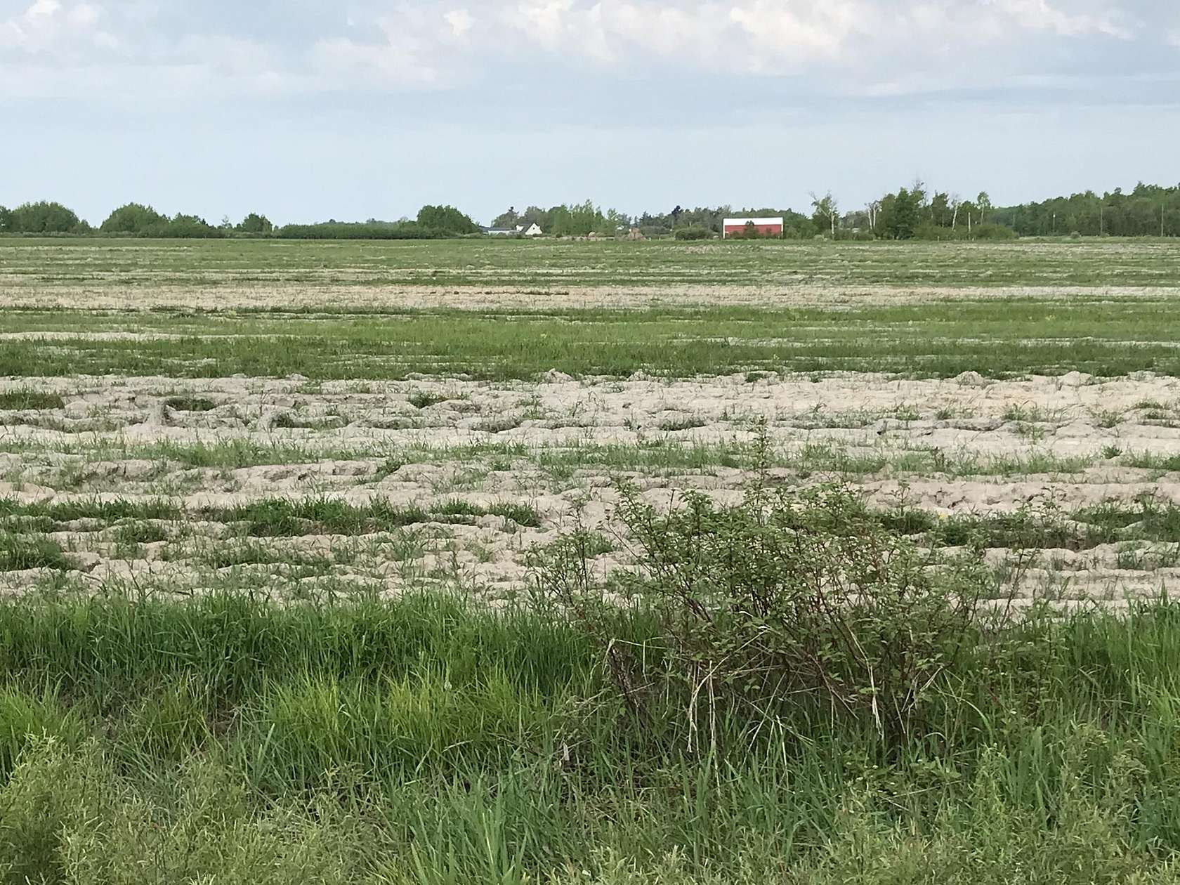 74 Acres of Agricultural Land for Sale in Sault Ste. Marie, Michigan