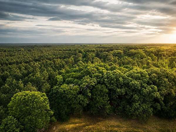 13.8 Acres of Land for Sale in Barnwell, South Carolina
