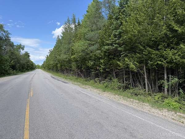 10 Acres of Recreational & Residential Land for Sale in Gould City, Michigan
