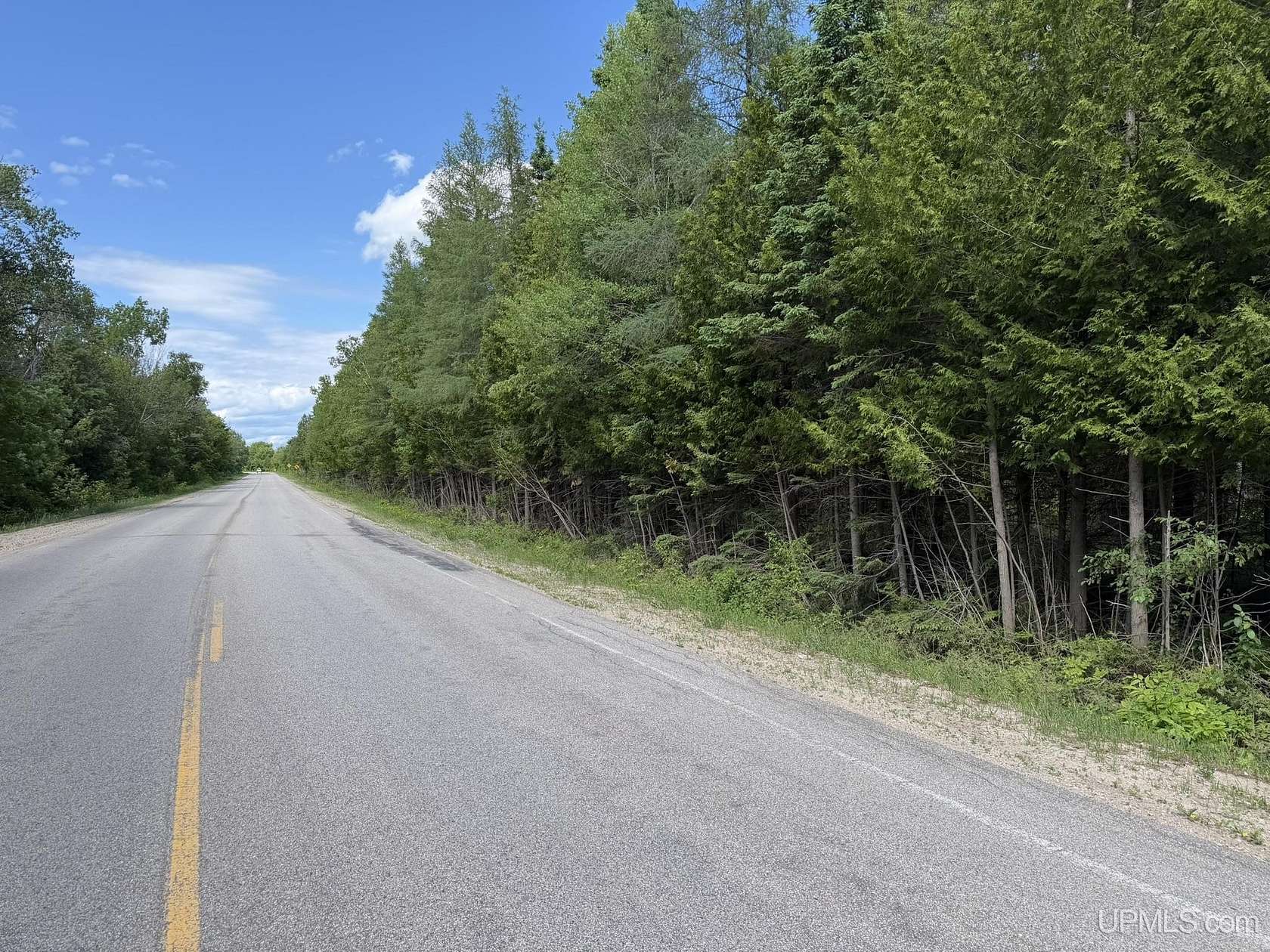 10 Acres of Recreational & Residential Land for Sale in Gould City, Michigan