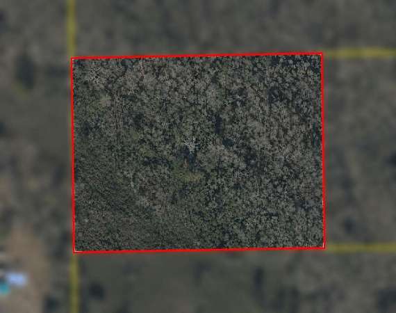 5 Acres of Residential Land for Sale in Greenville, Florida