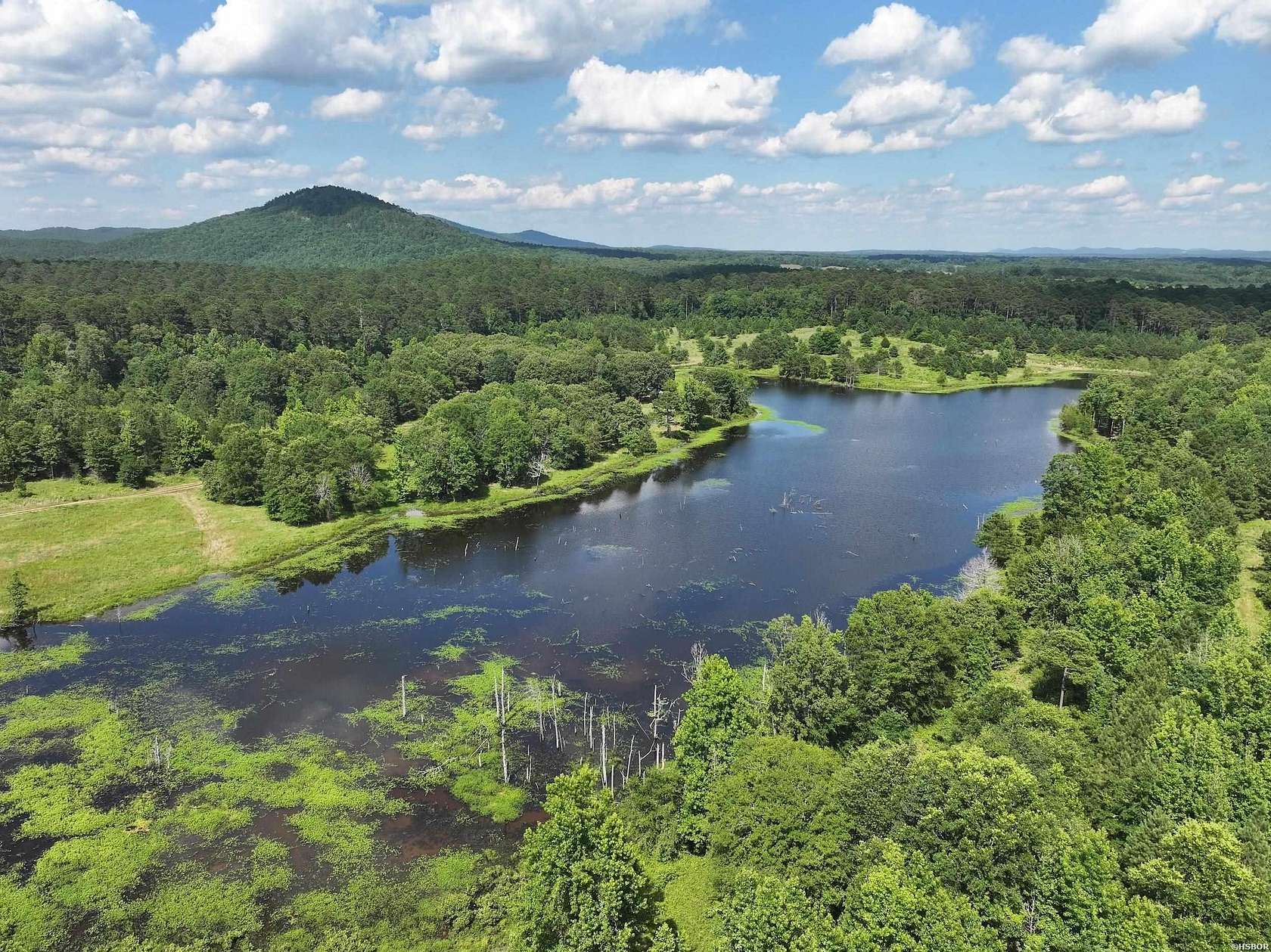 79.9 Acres of Recreational Land for Sale in Glenwood, Arkansas