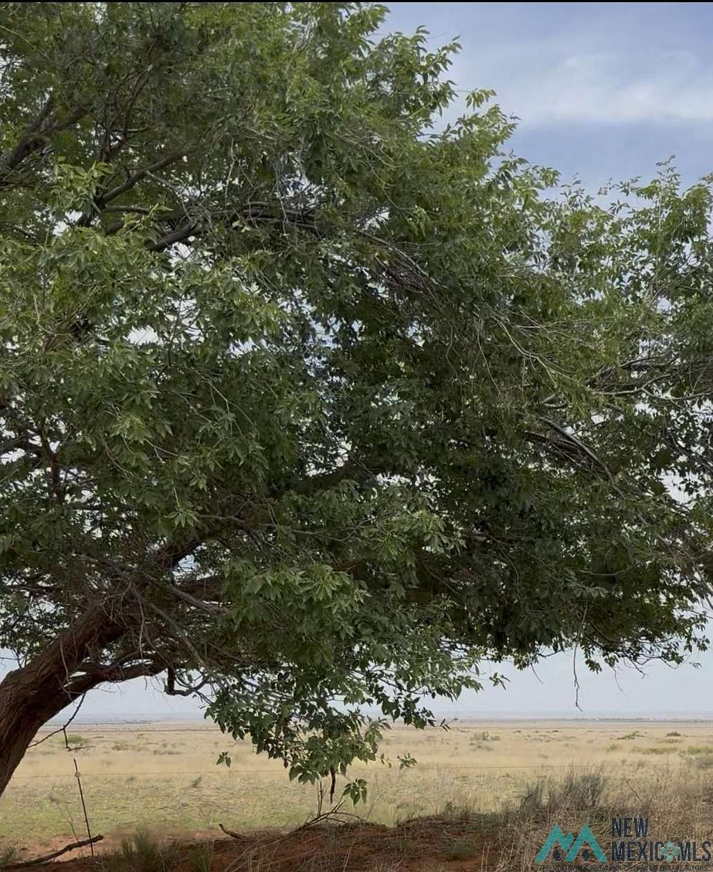 1,060 Acres of Land for Sale in Floyd, New Mexico