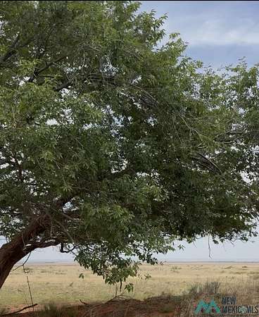 1,060 Acres of Land for Sale in Floyd, New Mexico