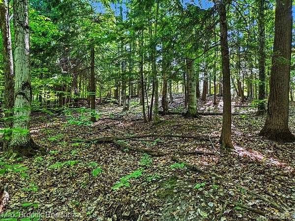 0.5 Acres of Residential Land for Sale in Custer Township, Michigan