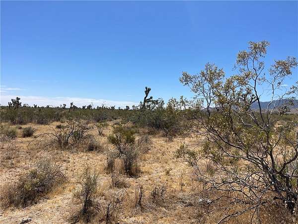 33.9 Acres of Agricultural Land for Sale in Llano, California