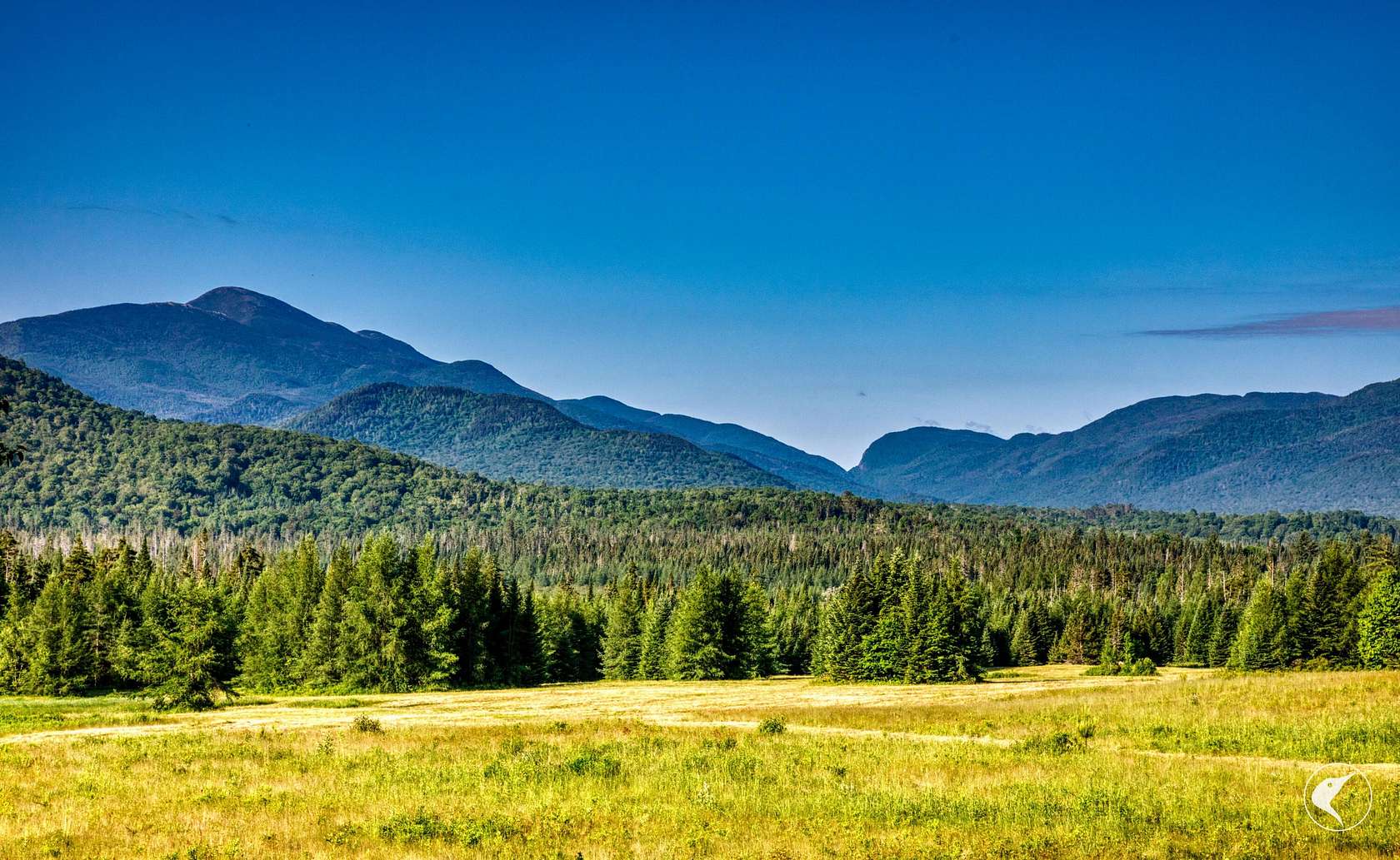 6 Acres of Residential Land for Sale in Lake Placid, New York