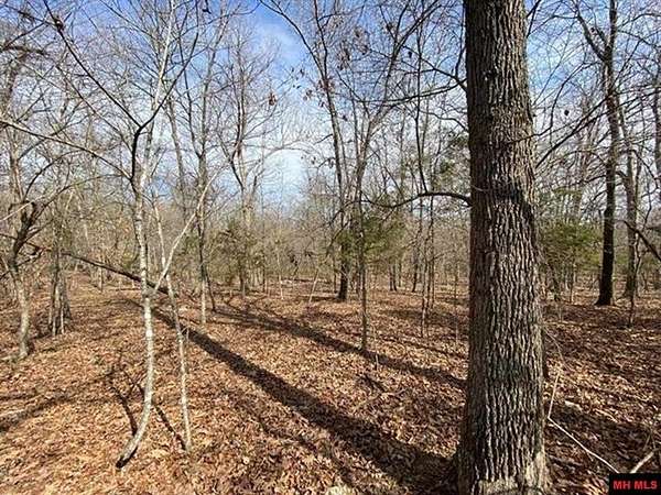 3.1 Acres of Residential Land for Sale in Clarkridge, Arkansas