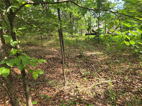 0.3 Acres of Land for Sale in Bella Vista, Arkansas