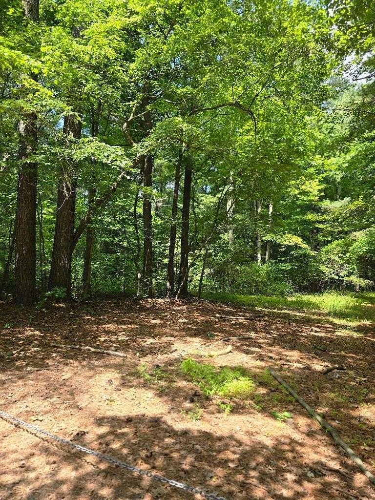 13 Acres of Land for Sale in Melfa, Virginia