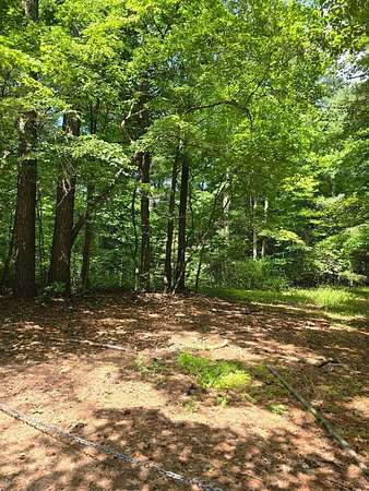13 Acres of Land for Sale in Melfa, Virginia