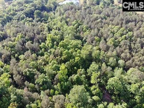 35 Acres of Land for Sale in Prosperity, South Carolina