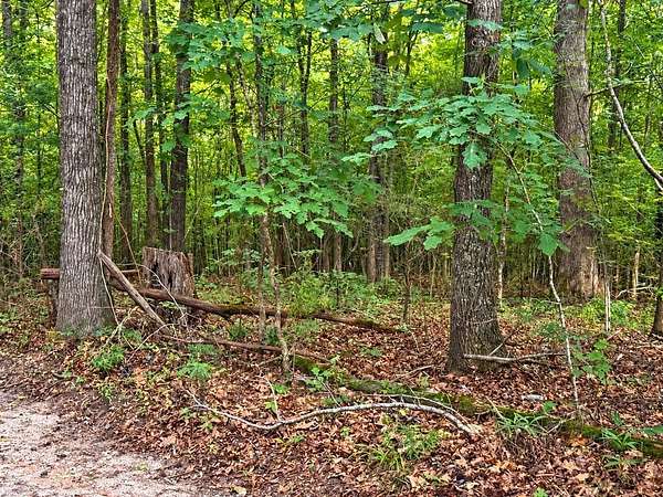 12.5 Acres of Land for Sale in Abbeville, South Carolina