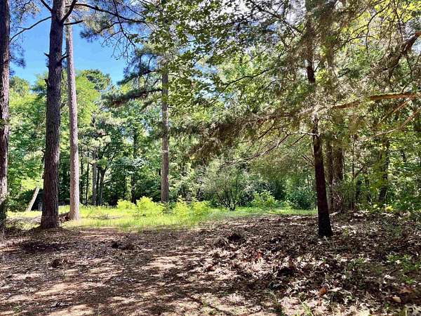40 Acres of Recreational & Residential Land for Sale in Sparkman, Arkansas