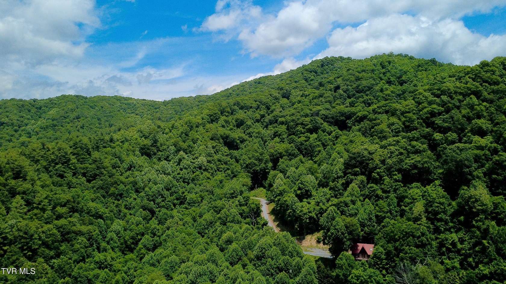 13.3 Acres of Land for Sale in Flag Pond, Tennessee