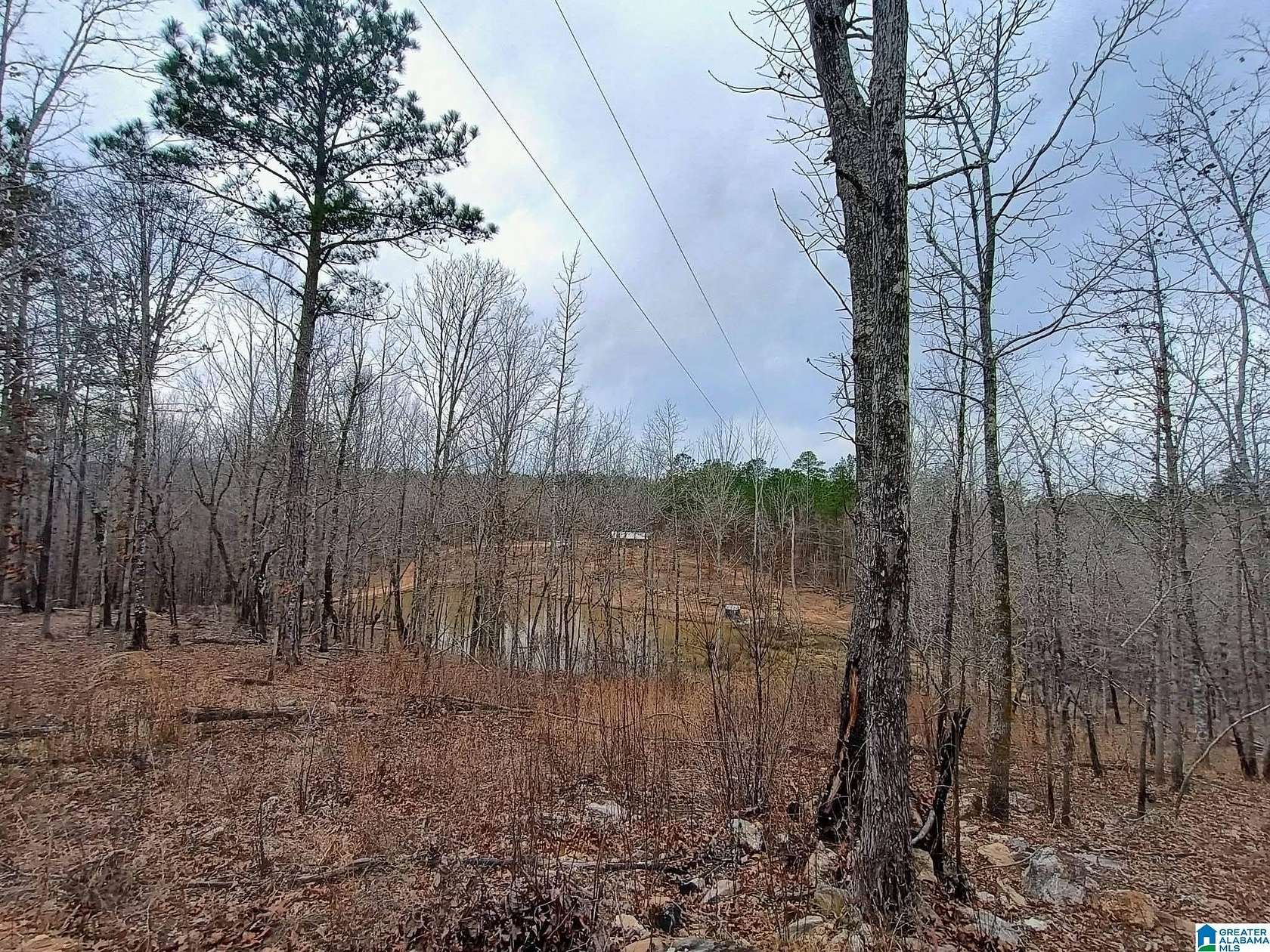 20 Acres of Recreational Land for Sale in Kellyton, Alabama