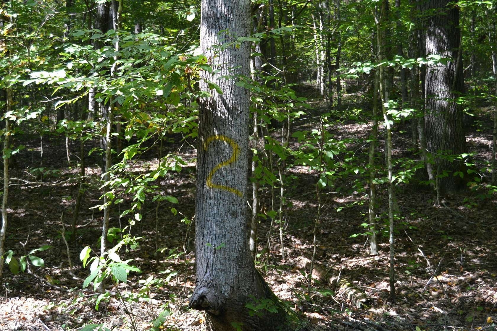 6.56 Acres of Residential Land for Sale in Eddyville, Kentucky